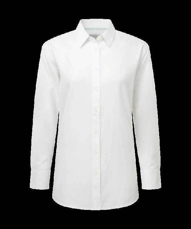 المنتج قبل المعالجة